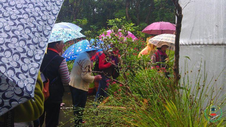 新竹市環保局與茄苳國小共同舉辦工作坊 探訪神祕的清大後花園...