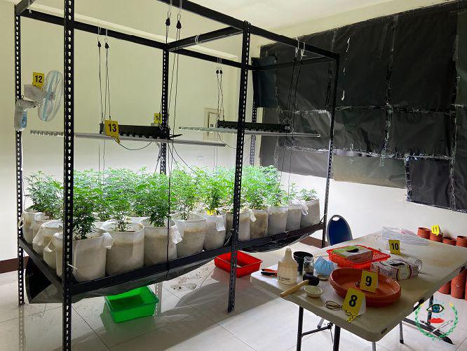 雲林地檢署查獲栽種、製造第二級毒品大麻工廠案...