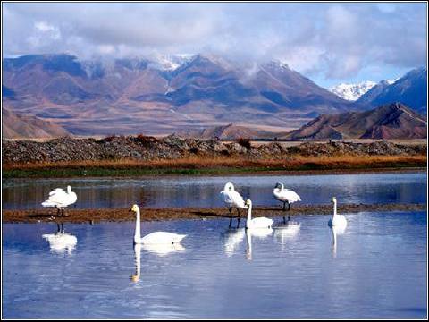 北疆風光--林清立攝影...